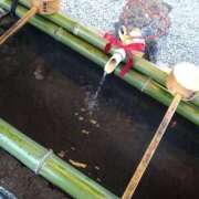 ヒメ日記 2026/01/01 01:00 投稿 みい 所沢東村山ちゃんこ