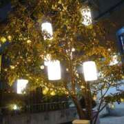 ヒメ日記 2026/01/29 00:41 投稿 みい 所沢東村山ちゃんこ