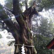 ヒメ日記 2026/02/12 07:02 投稿 みい 所沢東村山ちゃんこ