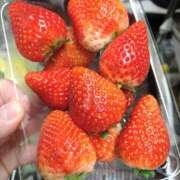 みい wbc 所沢東村山ちゃんこ