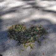 ヒメ日記 2026/03/13 12:18 投稿 みい 所沢東村山ちゃんこ