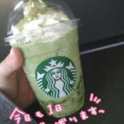 ヒメ日記 2026/03/27 09:30 投稿 みい 所沢東村山ちゃんこ