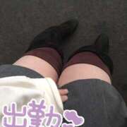 ヒメ日記 2026/03/29 18:18 投稿 みい 所沢東村山ちゃんこ