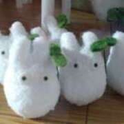 ヒメ日記 2026/04/17 09:20 投稿 みい 所沢東村山ちゃんこ