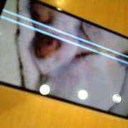 ヒメ日記 2026/04/21 12:04 投稿 みい 所沢東村山ちゃんこ