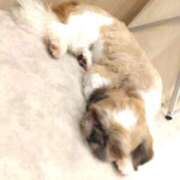 ヒメ日記 2026/09/19 09:02 投稿 みい 所沢東村山ちゃんこ
