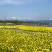 ヒメ日記 2025/04/22 12:22 投稿 ふうか ドマーニ