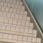 ふうか 🙇‍♀️ ドマーニ