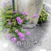 ヒメ日記 2025/03/22 12:32 投稿 みよこ 小山人妻隊