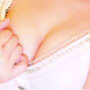 ヒメ日記 2025/04/07 06:03 投稿 おとは エンジェルシリカ