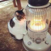 ヒメ日記 2025/11/26 13:34 投稿 あみ ファーストレディ(博多)