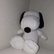 ヒメ日記 2024/12/27 14:05 投稿 かおり 中洲秘密倶楽部