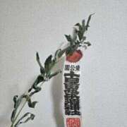 ヒメ日記 2025/01/09 20:15 投稿 かおり 中洲秘密倶楽部