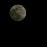 ヒメ日記 2025/01/13 22:05 投稿 かおり 中洲秘密倶楽部