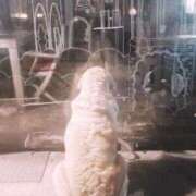 ヒメ日記 2025/01/17 09:40 投稿 かおり 中洲秘密倶楽部