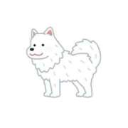 ヒメ日記 2025/01/29 18:05 投稿 かおり 中洲秘密倶楽部