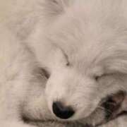 ヒメ日記 2025/02/22 09:20 投稿 かおり 中洲秘密倶楽部