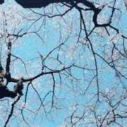 ヒメ日記 2025/04/14 20:45 投稿 かおり 中洲秘密倶楽部