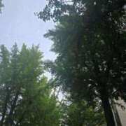 ヒメ日記 2025/06/12 15:20 投稿 かおり 中洲秘密倶楽部