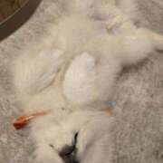 ヒメ日記 2025/06/17 07:45 投稿 かおり 中洲秘密倶楽部