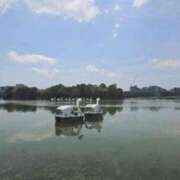 ヒメ日記 2025/08/22 16:05 投稿 かおり 中洲秘密倶楽部