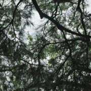 ヒメ日記 2025/09/26 12:05 投稿 かおり 中洲秘密倶楽部