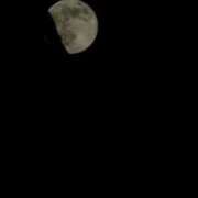 ヒメ日記 2025/11/08 22:45 投稿 かおり 中洲秘密倶楽部