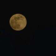 ヒメ日記 2026/01/03 20:55 投稿 かおり 中洲秘密倶楽部