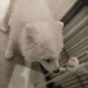 ヒメ日記 2026/02/19 19:05 投稿 かおり 中洲秘密倶楽部