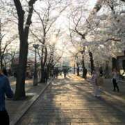 遠矢 ゆき 🤎🩵🤎 クラブダンディー