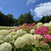 ヒメ日記 2025/12/03 17:21 投稿 鈴乃翼 お姉さんCLUB