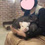 ヒメ日記 2026/01/30 23:07 投稿 あかね 優しいM性感 五反田