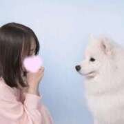 ヒメ日記 2026/02/23 19:58 投稿 あかね 優しいM性感 五反田