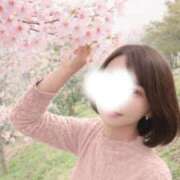 ヒメ日記 2026/02/27 22:47 投稿 あかね 優しいM性感 五反田