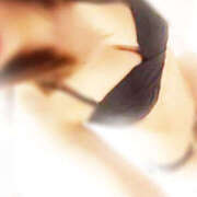 ヒメ日記 2025/09/14 02:38 投稿 さよこ エスカレート若妻