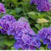 ヒメ日記 2025/06/03 22:55 投稿 あかね 出会い系人妻ネットワーク 上野〜大塚編