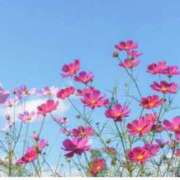 ヒメ日記 2025/09/16 20:08 投稿 あかね 出会い系人妻ネットワーク 上野〜大塚編