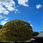 ヒメ日記 2025/11/16 12:59 投稿 あかね 出会い系人妻ネットワーク 上野〜大塚編