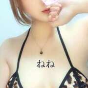 ヒメ日記 2024/12/14 19:48 投稿 ねね 人妻の楽園（博多）