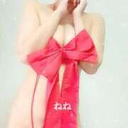 ヒメ日記 2024/12/19 21:47 投稿 ねね 人妻の楽園（博多）