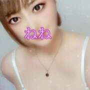 ヒメ日記 2025/01/29 19:50 投稿 ねね 人妻の楽園（博多）