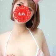 ヒメ日記 2025/02/13 19:18 投稿 ねね 人妻の楽園（博多）