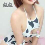 ヒメ日記 2025/02/19 19:58 投稿 ねね 人妻の楽園（博多）