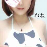 ヒメ日記 2025/02/22 22:28 投稿 ねね 人妻の楽園（博多）