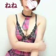 ヒメ日記 2025/03/14 20:08 投稿 ねね 人妻の楽園（博多）