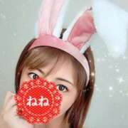 ヒメ日記 2025/04/06 12:58 投稿 ねね 人妻の楽園（博多）