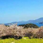 ヒメ日記 2025/04/06 13:28 投稿 ねね 人妻の楽園（博多）