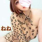 ヒメ日記 2025/04/26 15:38 投稿 ねね 人妻の楽園（博多）