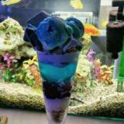 ヒメ日記 2025/07/13 14:58 投稿 ねね 人妻の楽園（博多）