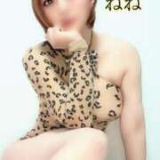 ヒメ日記 2025/07/26 15:58 投稿 ねね 人妻の楽園（博多）